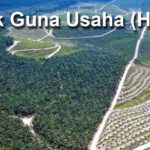 Hak Guna Usaha, Kantor Pengacara Jogja, Pengacara, Kantor Pengacara, Lawyer, Advokat, Kantor Pengcara Perceraian, Kantor Hukum Lombok, Kantor Pengacara Lombok, Pengacara Lombok, Pengacara Bantul, Pengacara Sleman