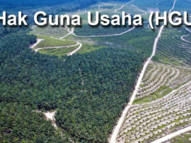 Hak Guna Usaha, Kantor Pengacara Jogja, Pengacara, Kantor Pengacara, Lawyer, Advokat, Kantor Pengcara Perceraian, Kantor Hukum Lombok, Kantor Pengacara Lombok, Pengacara Lombok, Pengacara Bantul, Pengacara Sleman