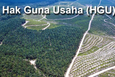 Hak Guna Usaha, Kantor Pengacara Jogja, Pengacara, Kantor Pengacara, Lawyer, Advokat, Kantor Pengcara Perceraian, Kantor Hukum Lombok, Kantor Pengacara Lombok, Pengacara Lombok, Pengacara Bantul, Pengacara Sleman