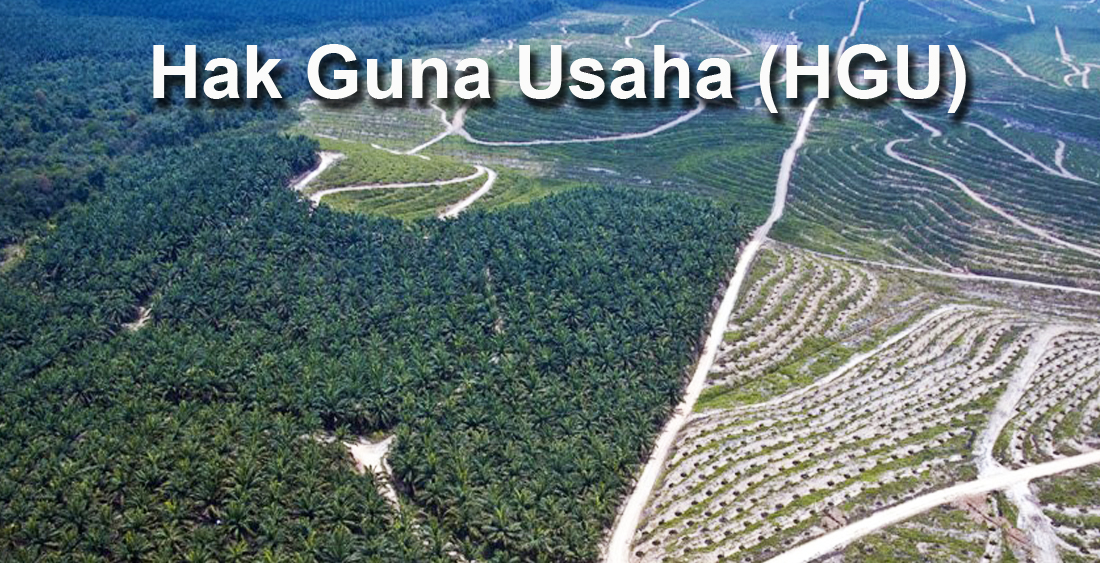 Hak Guna Usaha, Kantor Pengacara Jogja, Pengacara, Kantor Pengacara, Lawyer, Advokat, Kantor Pengcara Perceraian, Kantor Hukum Lombok, Kantor Pengacara Lombok, Pengacara Lombok, Pengacara Bantul, Pengacara Sleman