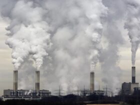 Kantor Hukum Jakarta, Pengacara Lingkungan, Kantor Pengacara Jakarta, Polluters Pays Principle